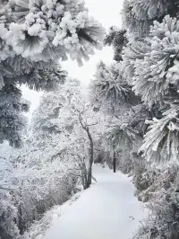 廣東人狂喜!成功在衡山追到初雪(附攻略