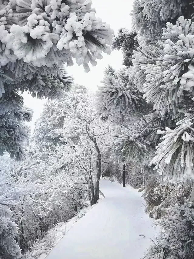廣東人狂喜!成功在衡山追到初雪(附攻略 廣東人狂喜!成功在衡山追到初雪(附攻略