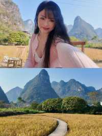 風吹麥浪 小紅書跟風最成功的一次好chill