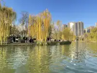 西安興慶宮｜在皇家園林裡接住最後一捧銀杏