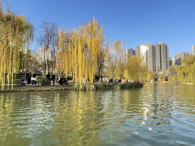 西安興慶宮｜在皇家園林裡接住最後一捧銀杏