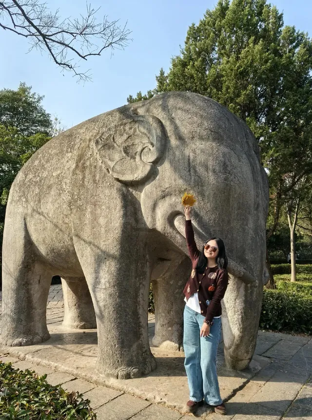 愛上金陵的秋(五) 愛上金陵的秋(五)