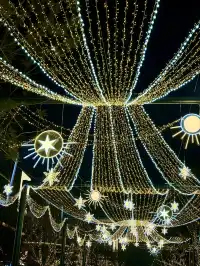 又幸福了!重慶冬日浪漫氛圍感拉滿~