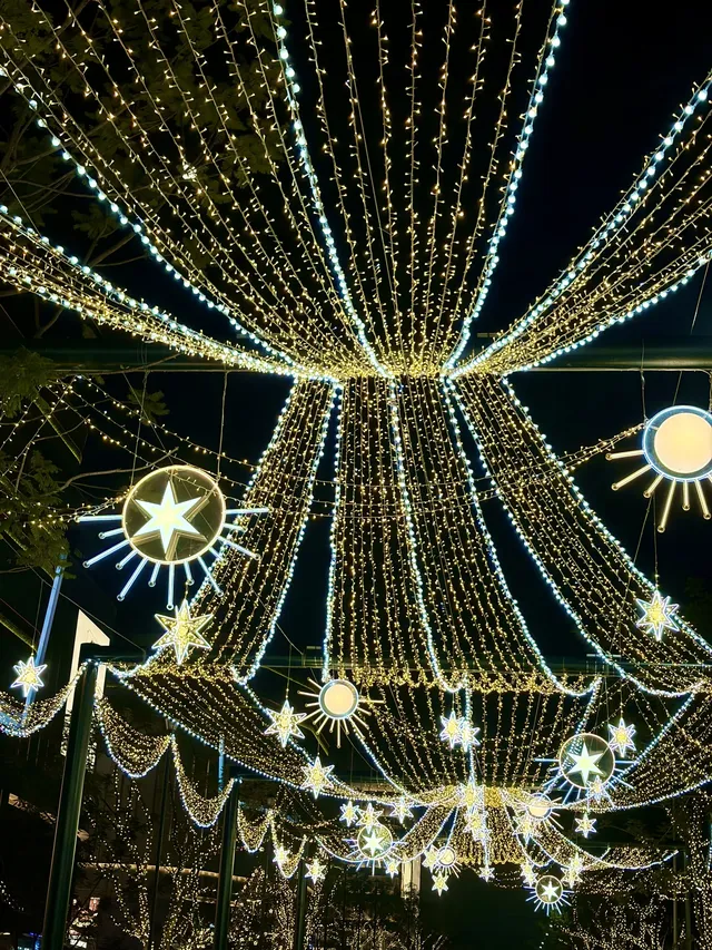 又幸福了!重慶冬日浪漫氛圍感拉滿~ 又幸福了!重慶冬日浪漫氛圍感拉滿~