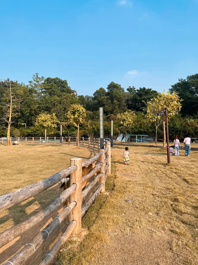 深圳寶藏親子牧場餵鹿撸兔遛娃絕了! 深圳寶藏親子牧場餵鹿撸兔遛娃絕了!