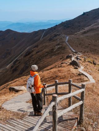 冬のハイキング | 福建で見つけた絶美の黄金色の草原！