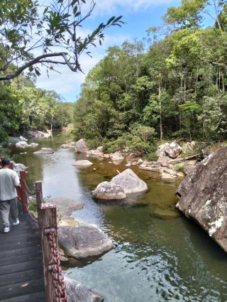 Hainan's Hidden Gem｜Ledong Jianfeng Tropical Rainforest Park is Breathtaking