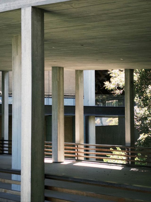 杭州國家版本館｜藏在良渚的中式美學天花板