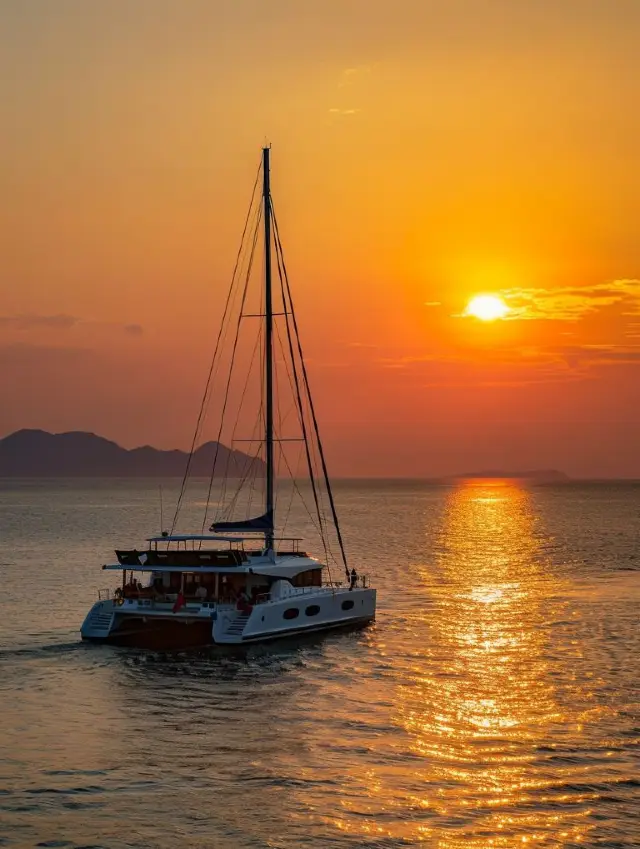 Complete Guide to Yacht Sea Fishing in Qingdao