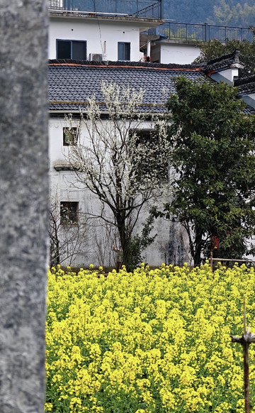 虹关村·察关水口 参考图 1