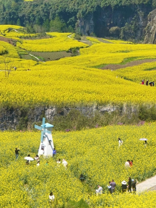菜の花が海のように咲き誇り、まるで桃源郷のような風景 | Trip.com 恩施