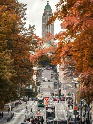 Urban Nature Dream🌲