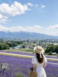 日本北海道7天｜承包花海、煙火與百萬夜景