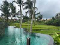 An Unforgettable Luxury Resort Experience