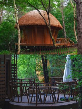 西安2.5h住進25°林海木屋，抬頭就是漫天星河