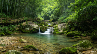 Huizhou's Unique and Unusual Travel Guide