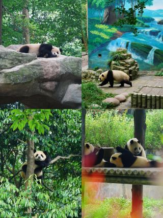 Just 2 hours from Chengdu, this green wonderland is perfect for a family summer getaway 