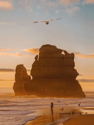 Captured the photo of a lifetime on the Great Ocean Road