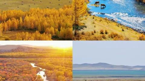 I've just returned from Hulunbuir in September/October, and I really don't recommend going, because it's just... — traveler post in Genhe