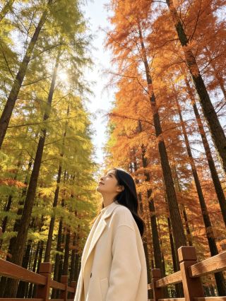 Autumn in Southern Anhui | A Stay by the Fish Scale Dam, Awaiting the Redwoods