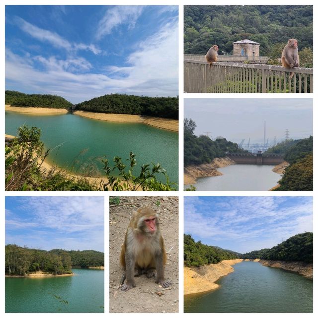 香港限定：賞古蹟，2個小時走完4個水塘🏞😆