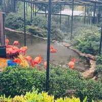 香港動植物園-給自己最美的大自然的饗宴