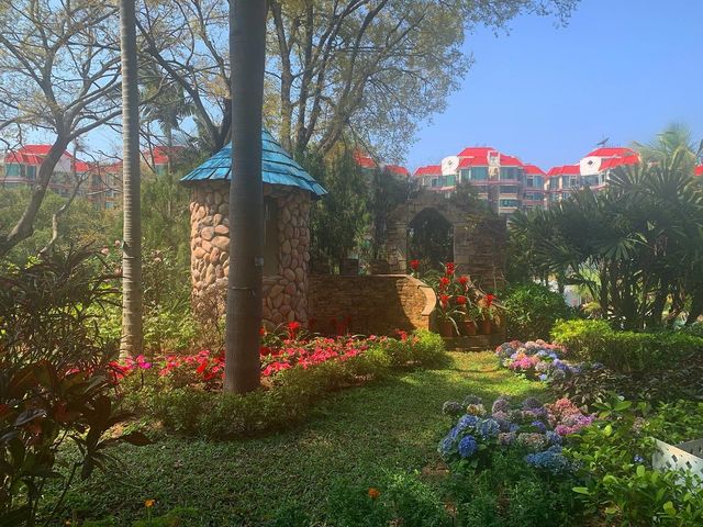走進漂亮繡球花海 元朗公園