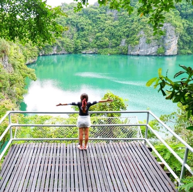 วิวมุมสูง บนเกาะแม่เกาะ