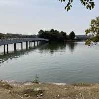 博多　大濠公園　桜が満開
