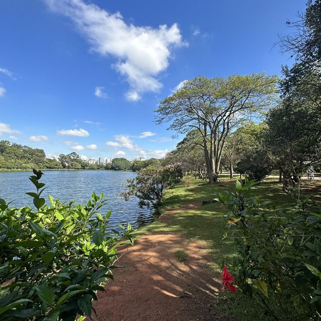 Relaxing green and family park in Sao Paolo!