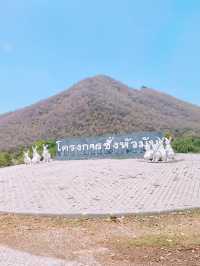 โครงการชั่งหัวมัน จ.เพชรบุรี