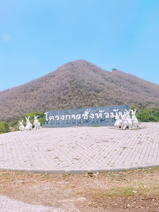 โครงการชั่งหัวมัน จ.เพชรบุรี