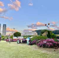 울산 대표 축제 장생포 고래축제 울산 5월축제