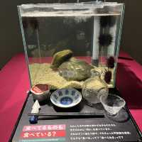 【大阪】関西屈指の巨大水族館🐠海遊館
