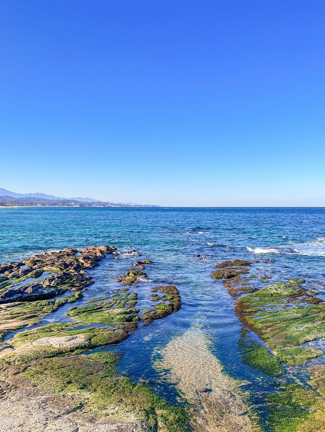 강릉 핫플 여행코스 추천🌊