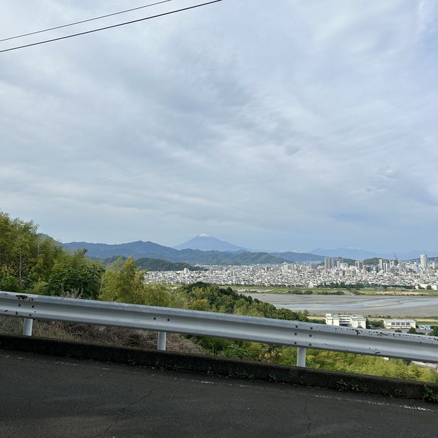 静岡市を一望する徳願寺