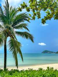 고요하고 아름다운 푸꾸옥 남부 켐 비치(Khem Beach)🏖️🌴 