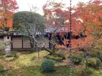 เที่ยวใบไม้เปลี่ยนสี เกียวโต วัดเอกันโดเซ็นริน ⛩️🍁