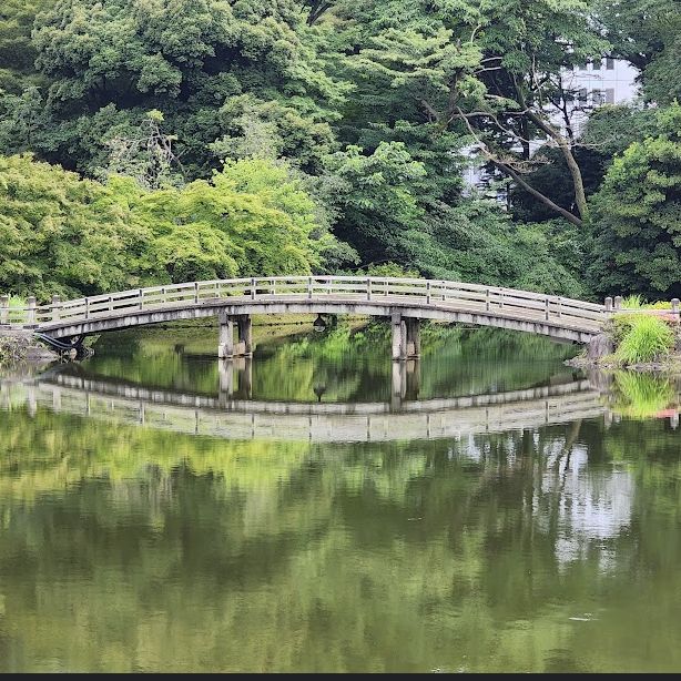 【東京観光】東京の癒しスポット🌳