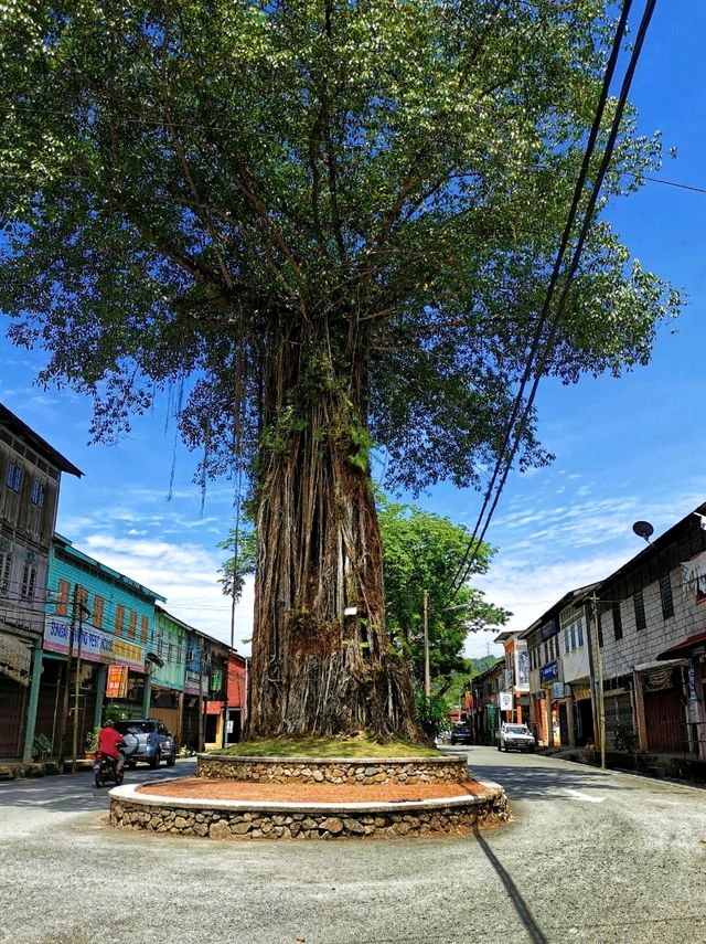  A nature retreat in Sungai Lembing