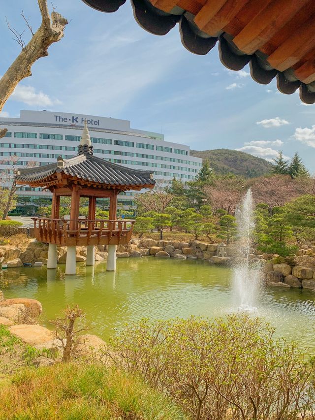 인생샷 백만장가능한 한옥숙소🤎