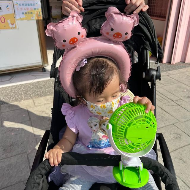 嘉義民雄《三隻小豬觀光農場》