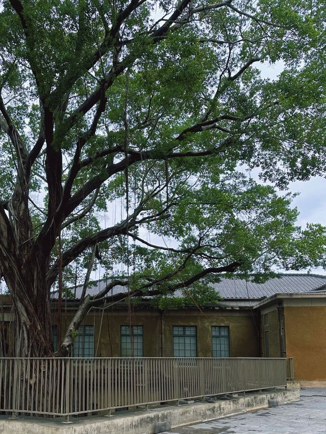 《台南》警察署改建的美術館 林志玲包場舉辦婚禮-台南美術館一館