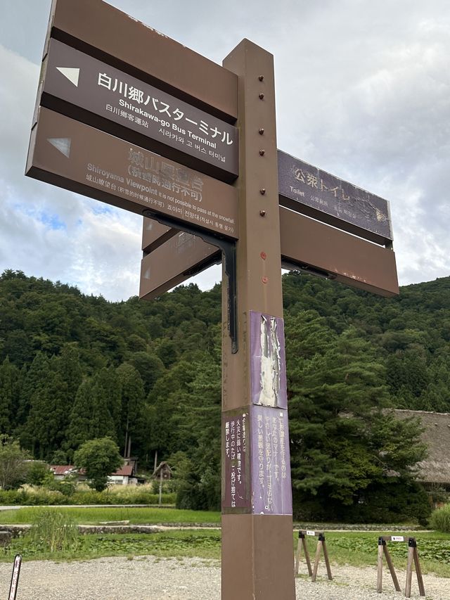 白川鄉 ｜荻町城跡展望台眺望合掌村📸