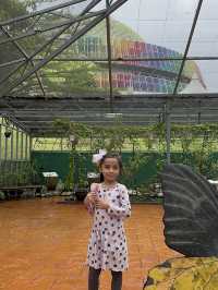 FREE ENTRY 🦋 BUTTERFLY PARK at KL 