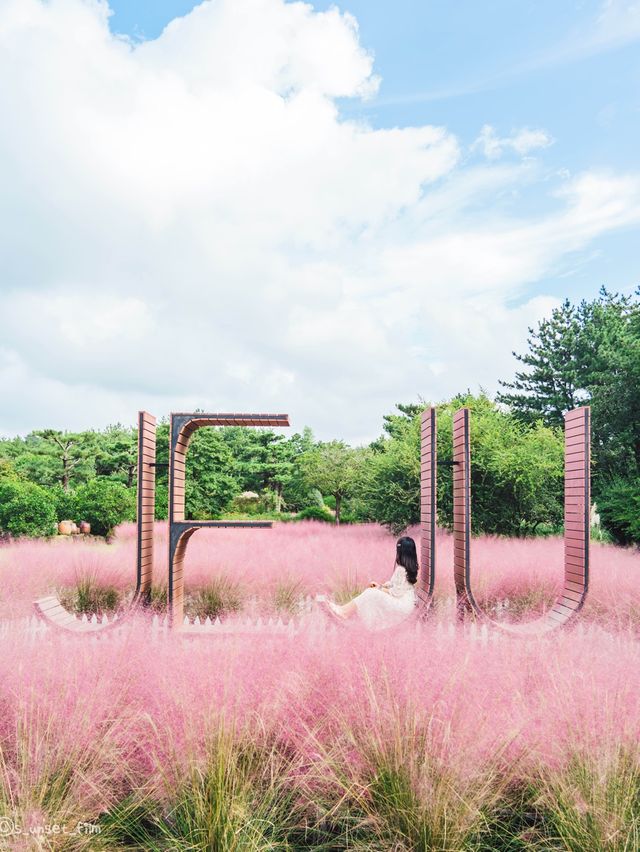 🎀가을 아름다운 분홍빛의 꽃 천국 [제주, 휴애리자연생활공원] 🍁