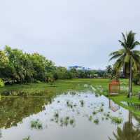 Laman Padi Langkawi