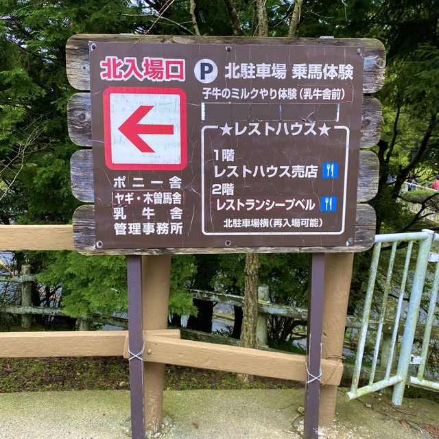 六甲山牧場【北エリア】動物が近くふれ合える癒されエリア