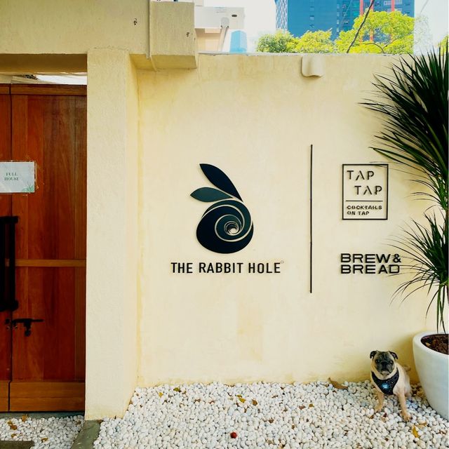 The Rabbit Hole