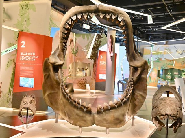 香港科學館古生物展廳「滅絕．新生」展覽展出珍貴動植物化石